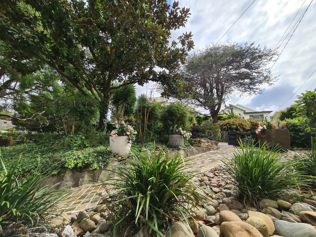 Vista Unit Close To The City & Airport & Train Station And Brighton Le Sands Beach Sydney Buitenkant foto